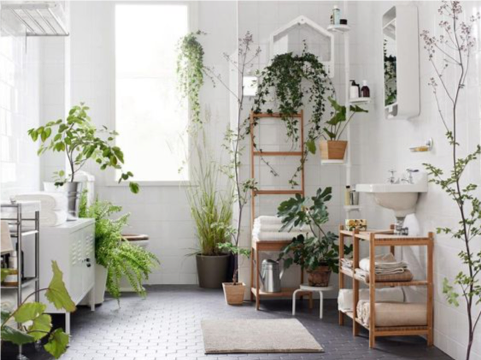Planten in je badkamer, gezellig en functioneel!